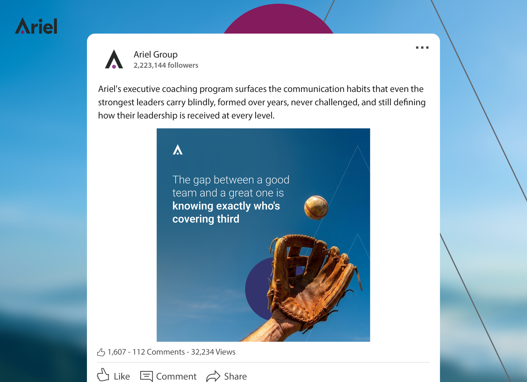 Ariel Group LinkedIn case study