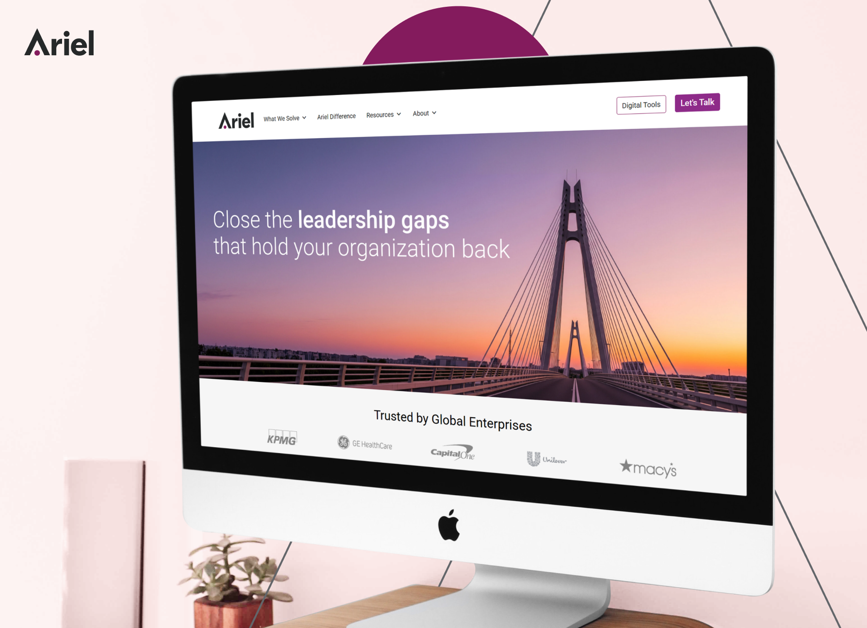 Ariel Group case study
