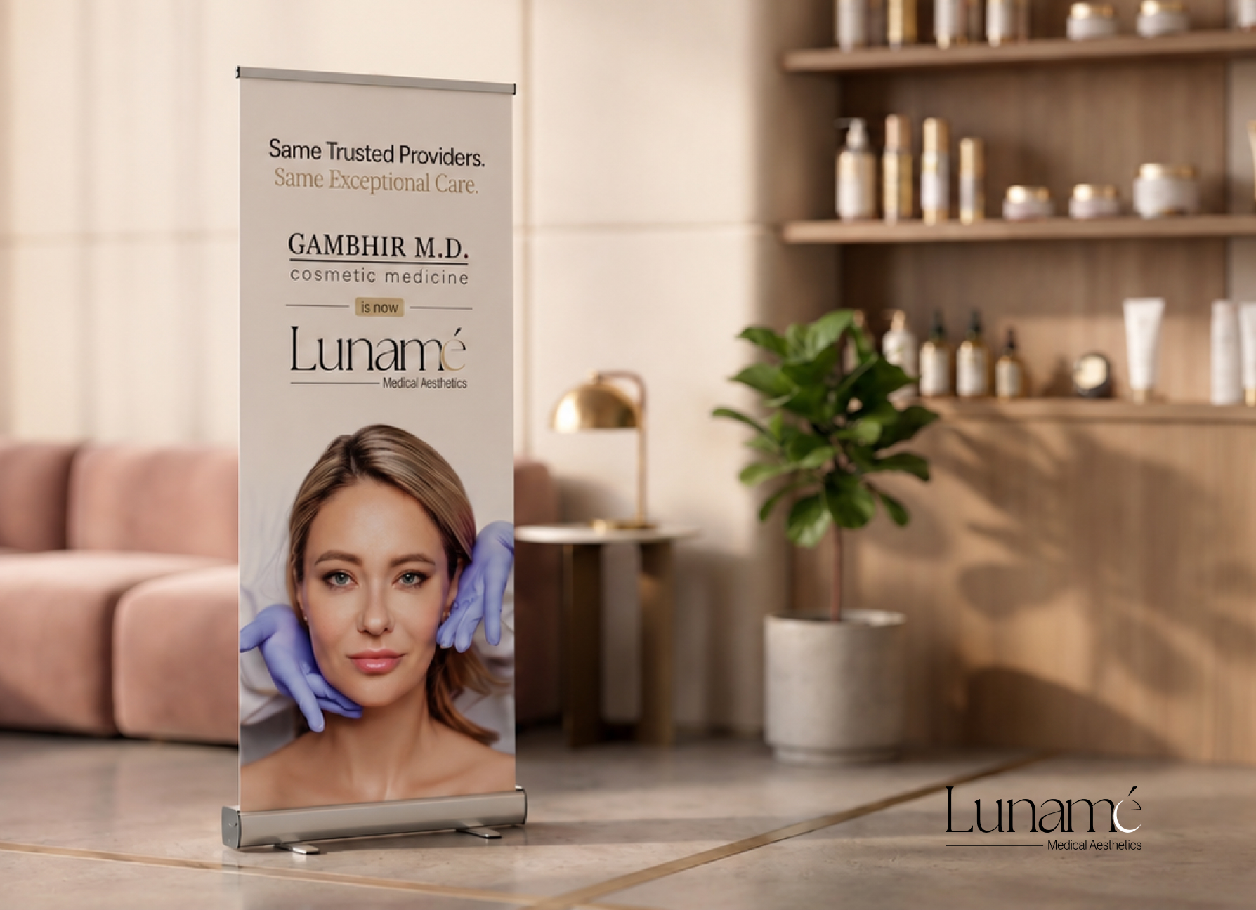 Lunamé visual identity